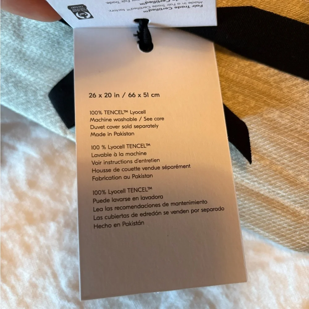 West Elm Silky TENCEL Striated Sham Pillow